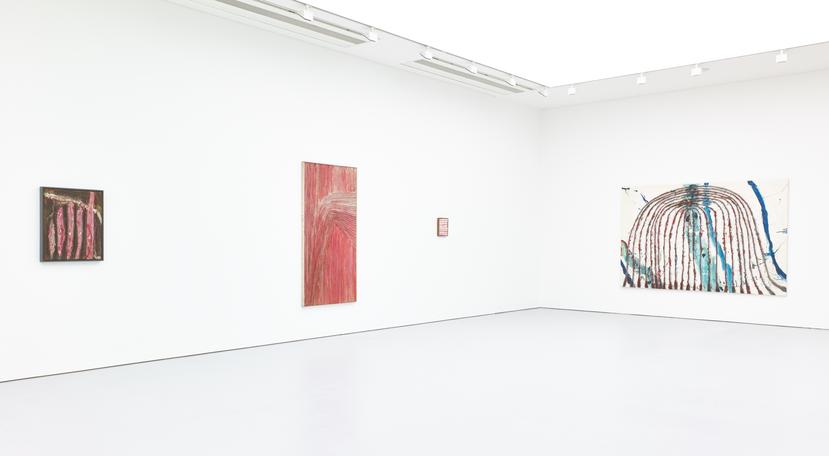 Installation view of the exhibition Tsuyoshi Maekawa