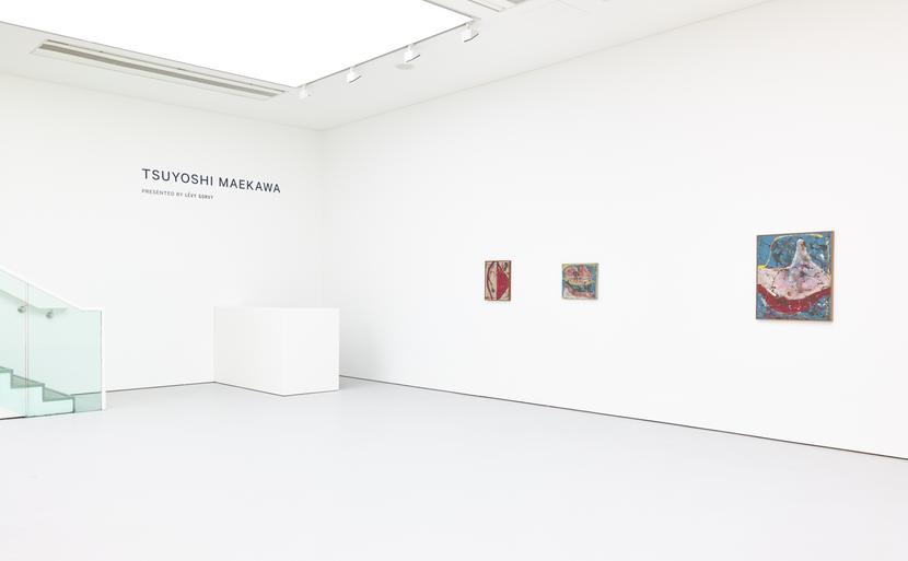 Installation view of the exhibition Tsuyoshi Maekawa