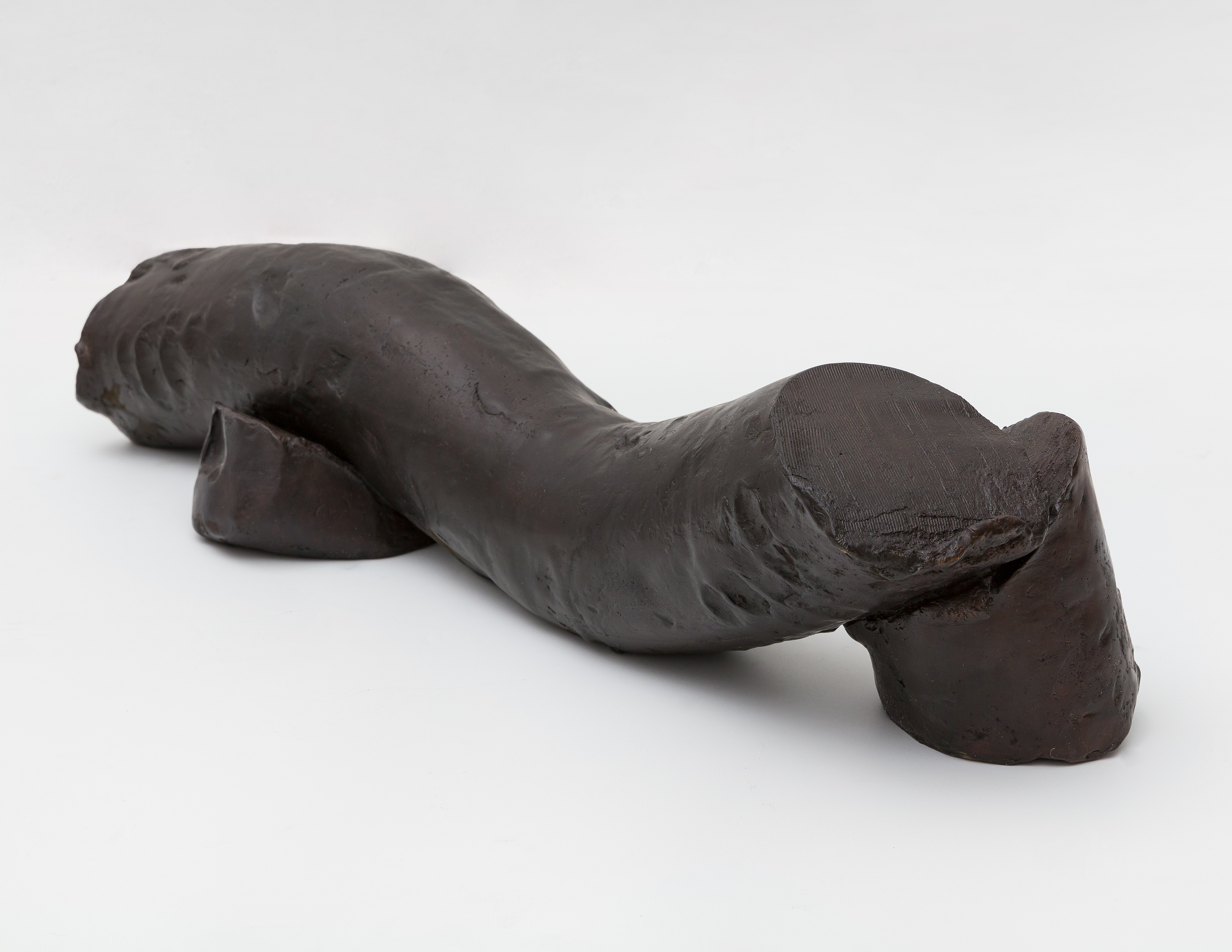 Paulo Monteiro's Untitled patinated bronze sculpture