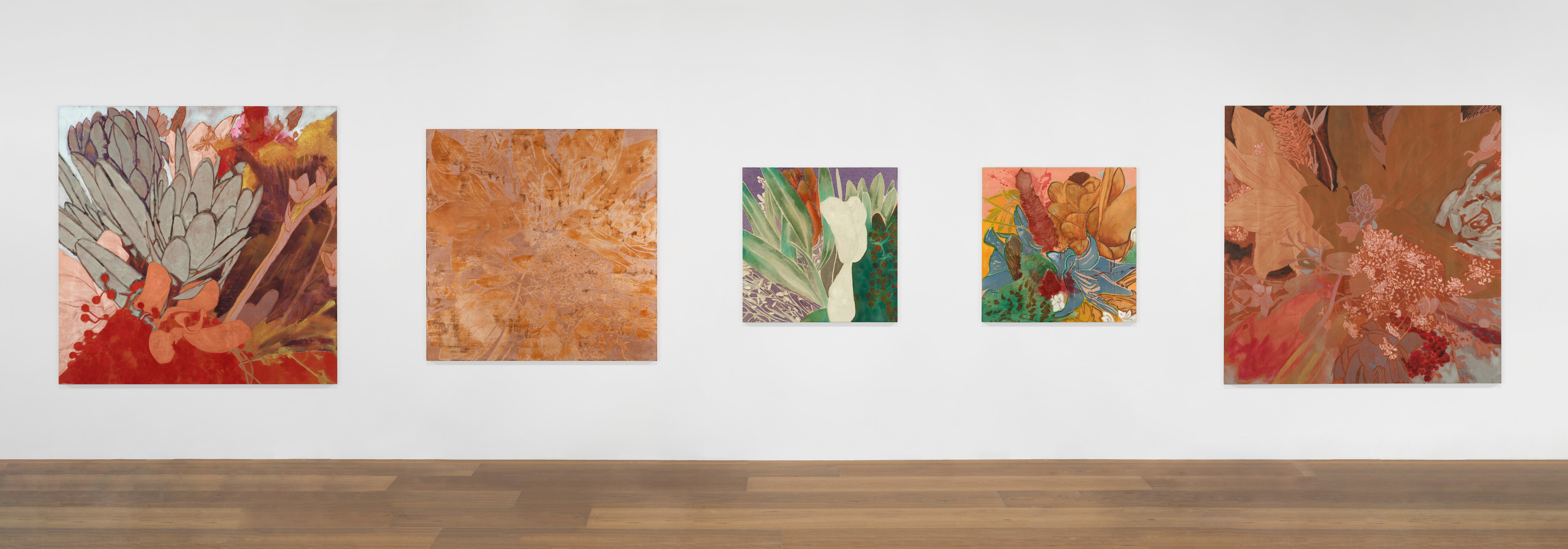 Installation view of five of Francesco Clemente's Winter Flowers paintings