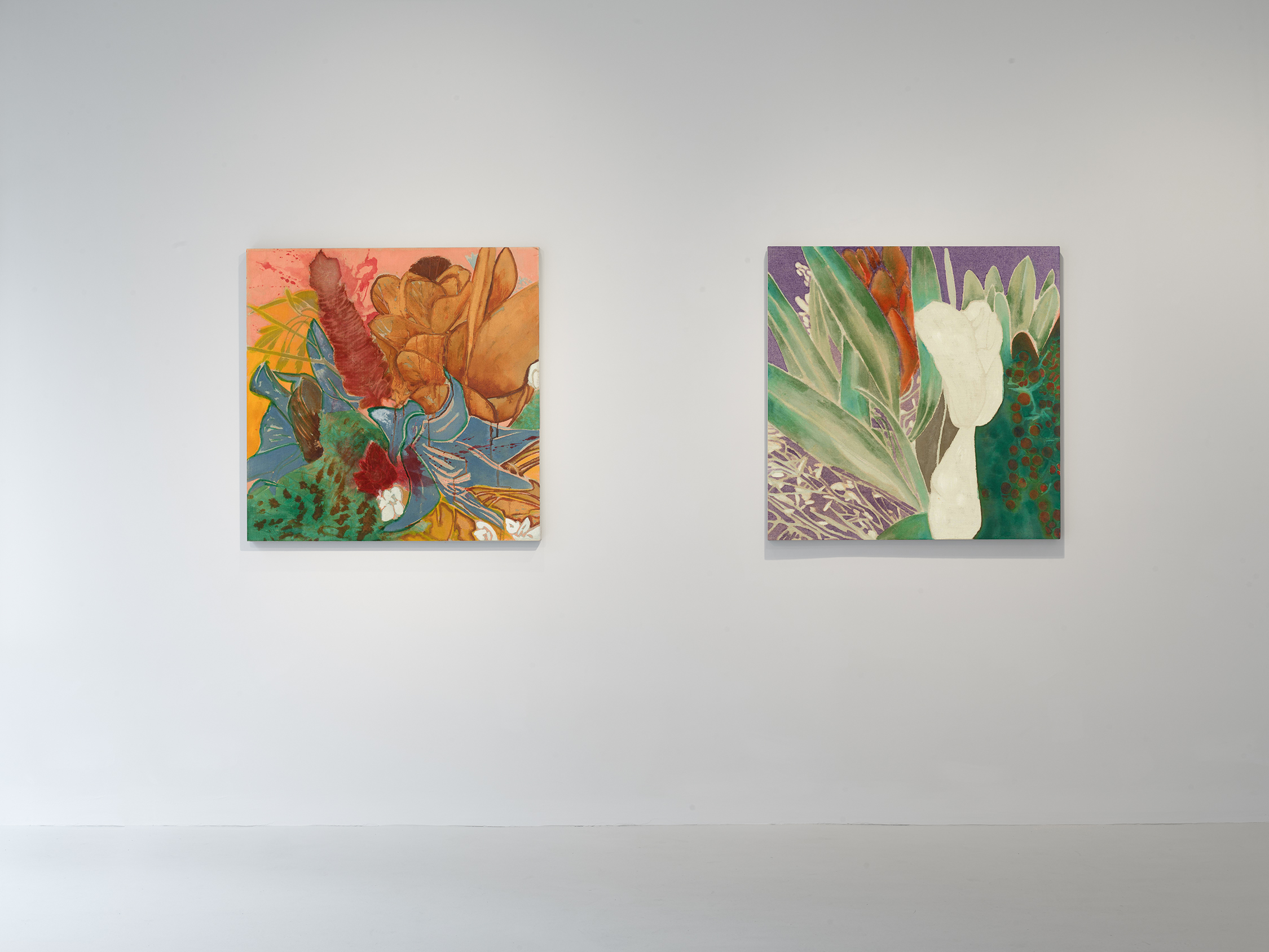 Installation view of Francesco Clemente: Winter Flowers at 40 Albemarle Street
