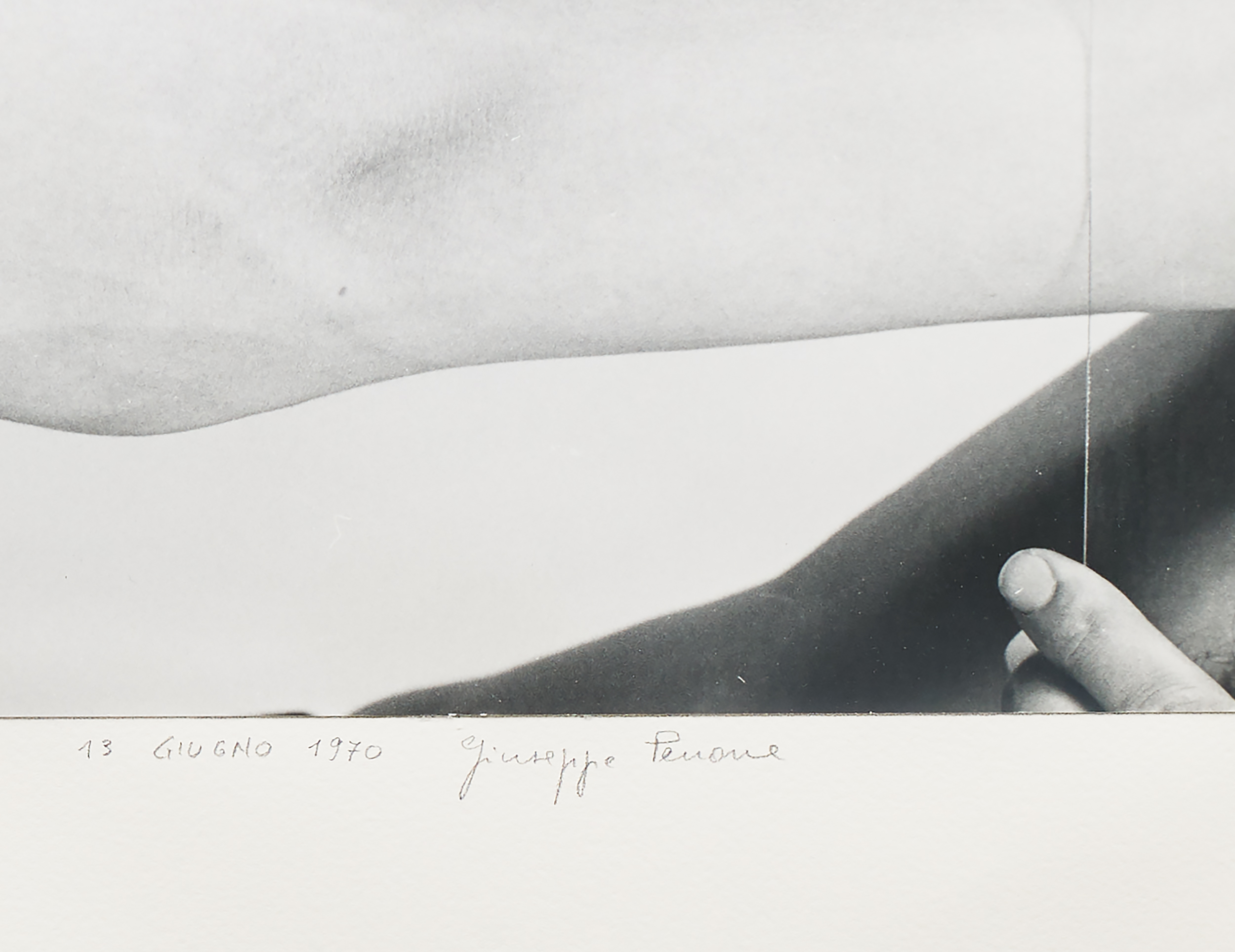 Detail view of Giuseppe Penone's print Svolgere la propria pelle - Coincidenza d'immagine 13 giugno 1970